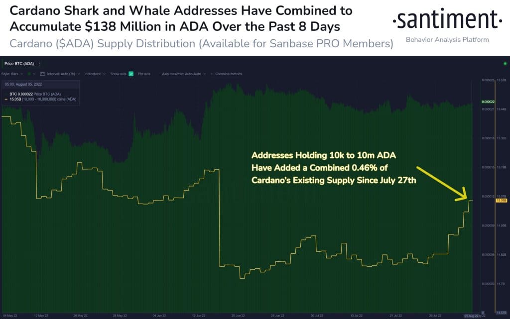 Cardano ADA Accumulation by Whales and Sharks