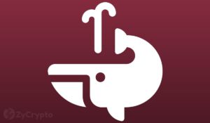 Mysterious 5 Billion Shiba Inu Whale Moves 40 Trillion SHIB To Unknown Wallets As Price Consolidates