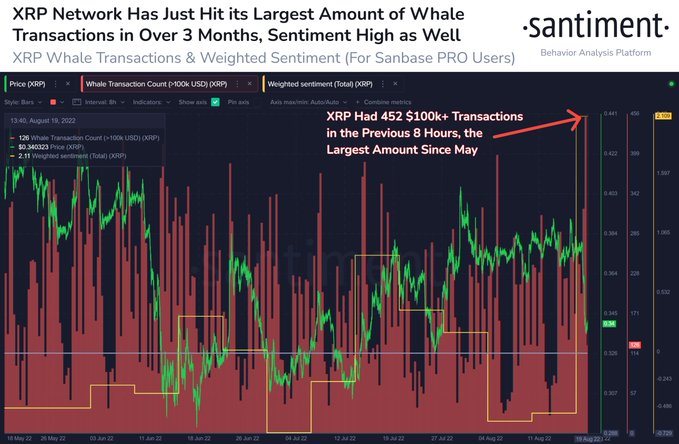 Rising Whale Activity and Optimism Over XRP