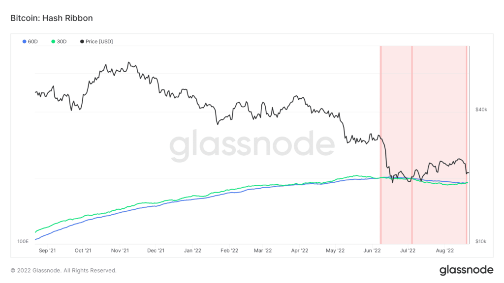 glassnode studio bitcoin hash ribbon