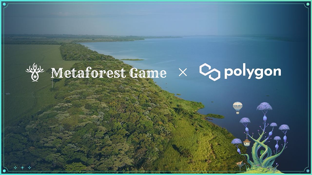 polygon endorsement announced for nft tree chain game project metaforest