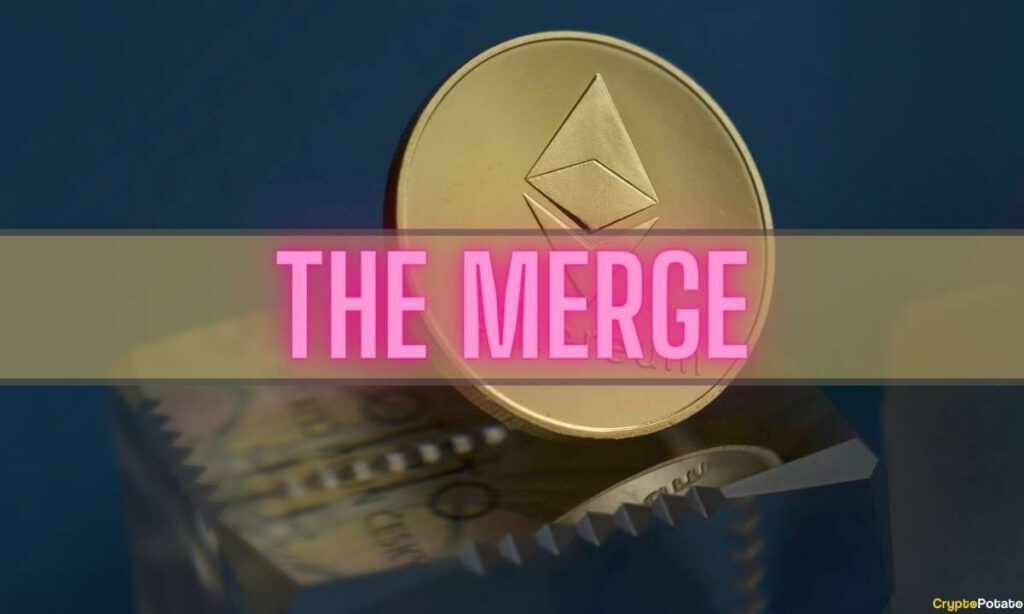 themerge cover