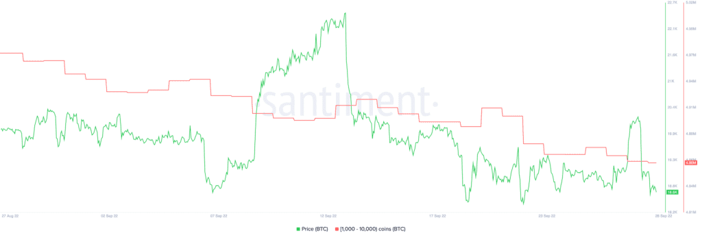 Bitcoin BTC 11.53.13 28 Sep 2022 1024x347 1