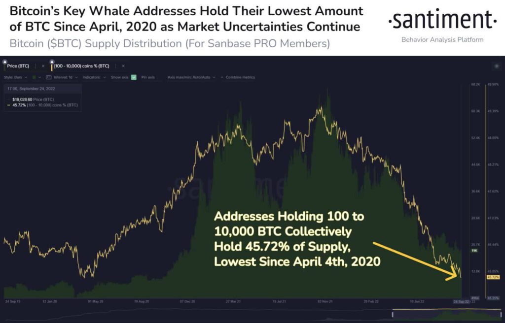 Bitcoin BTC Whale Addresses