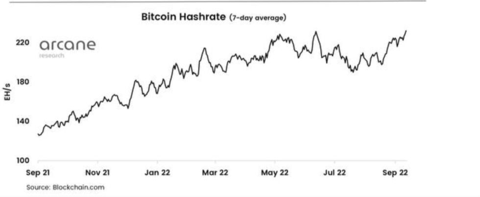 Bitcoin hashrate 1 980x402 1