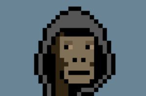 CryptoPunk NFT