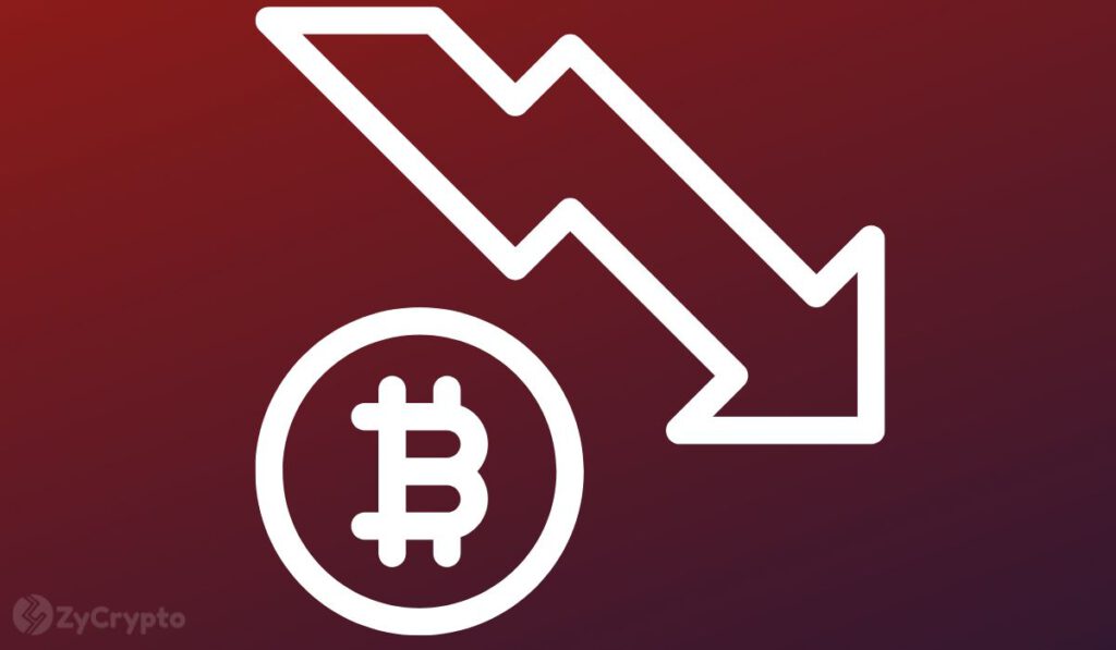 Seasoned Price Action Trader Says Bitcoin Price Headed For 12000 5000 Crash Floor