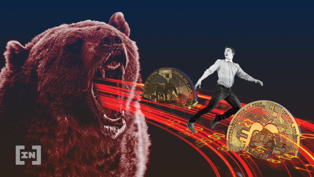 bear market.jpg.optimal