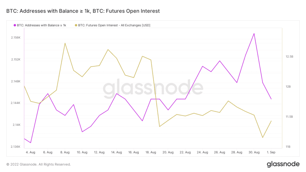 glassnode studio btc addresses with balance 1k btc futures open interest