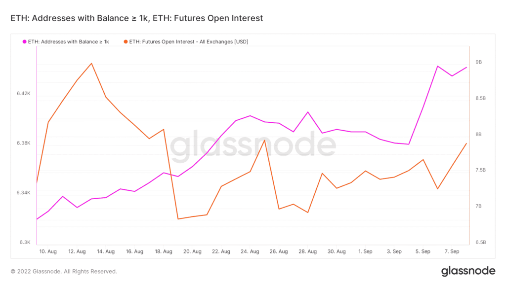 glassnode studio eth addresses with balance 1k eth futures open interest