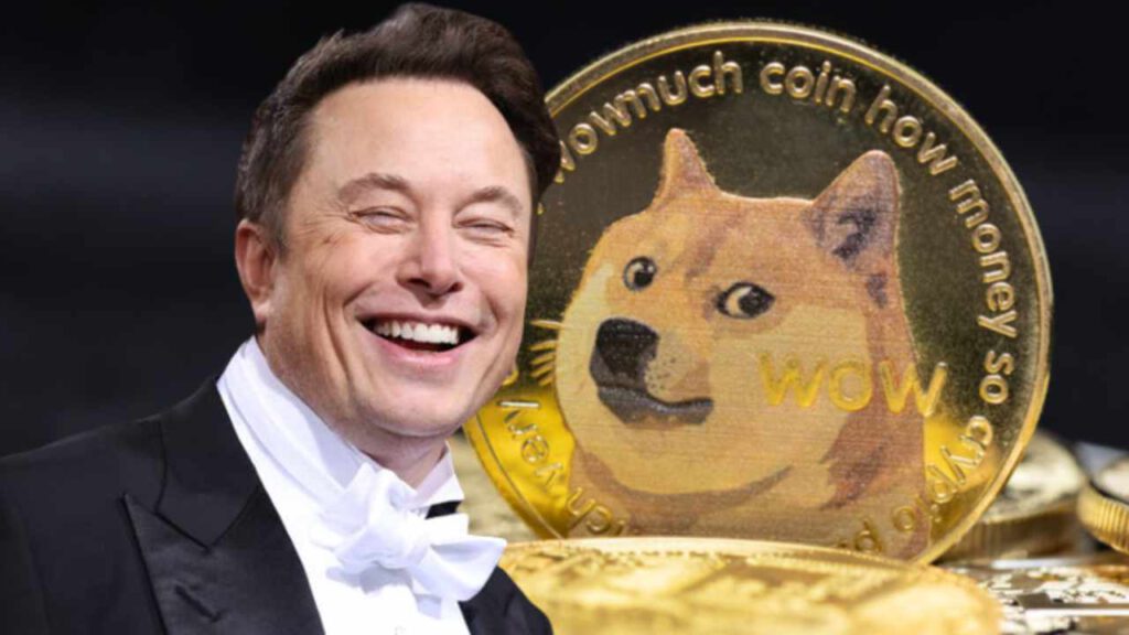 musk doge