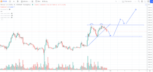 54c9772f 34cb 451a a386 221565b40b09