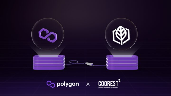 Polygon Weekly Recap Week 40 (29/9 - 05/10) - 4