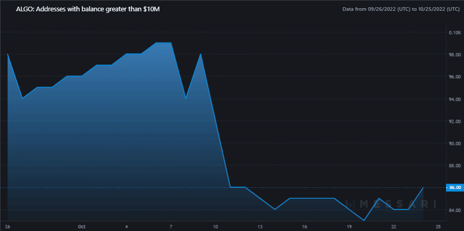 ALGO Addresses with balance greater than 10M 2022 10 25