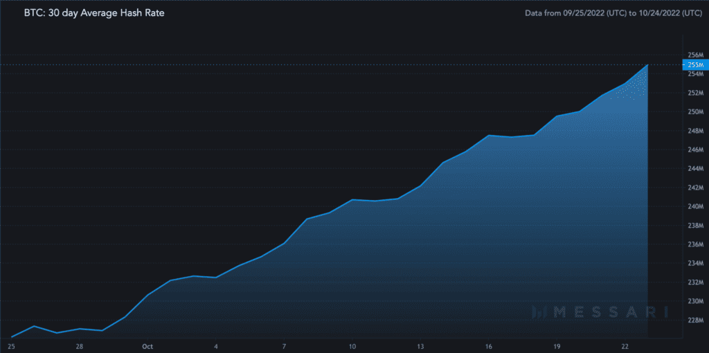 BTC 30 day Average Hash Rate 2022 10 24