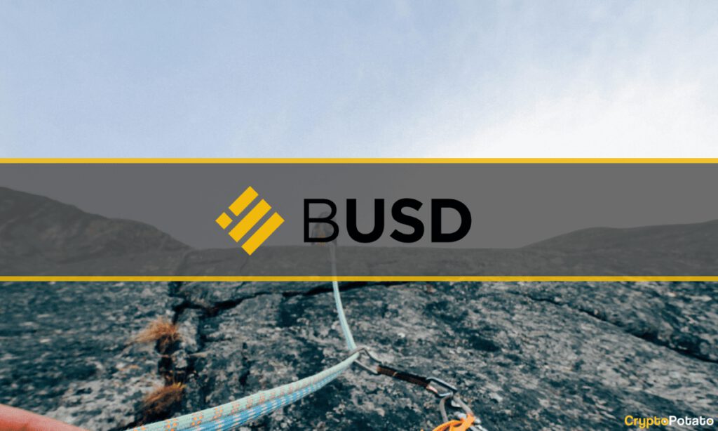 BUSD 1