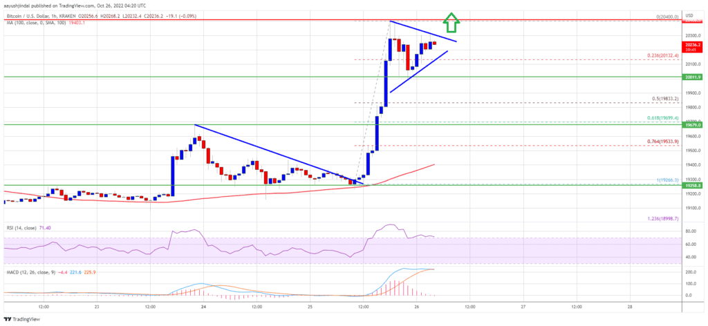 Bitcoin 20