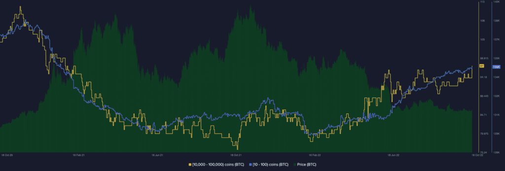 Bitcoin BTC 06.38.53 19 Oct 2022