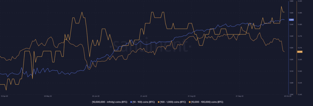 Bitcoin BTC 07.01.34 20 Oct 2022