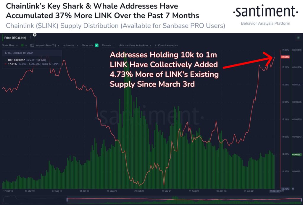 Chainlink LINK Whale