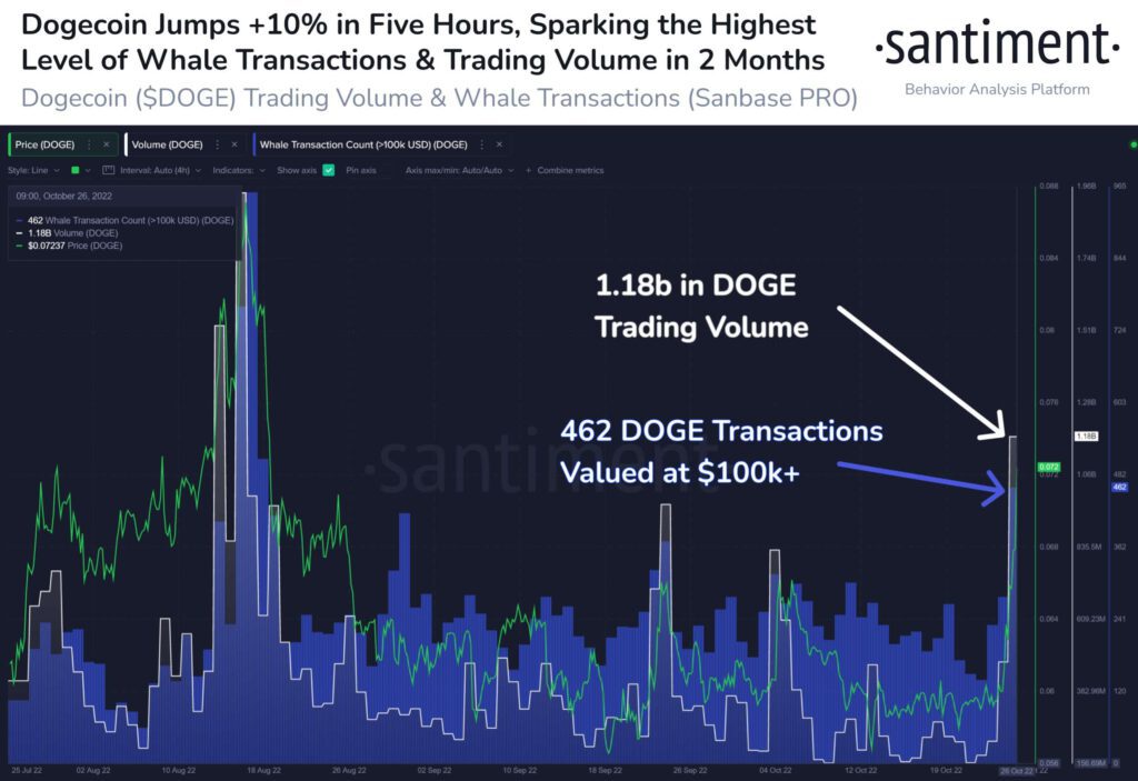 Dogecoin DOGE Whale Transactions