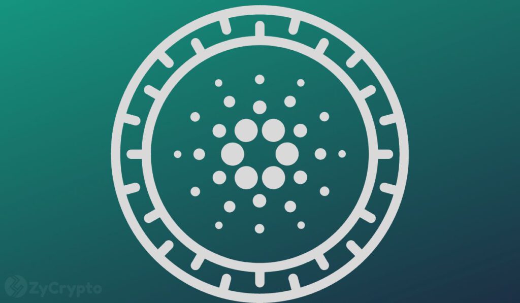 Historically Accurate Cardano On Chain Metrics Suggest ADA Price Could Triple In Near Term