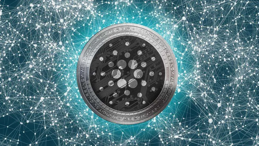 Immersion Imagery Cardano 1