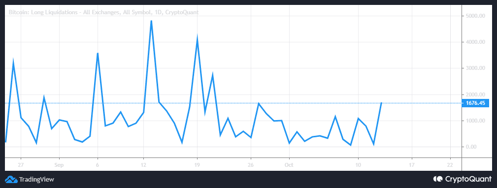 My Chart 8 1