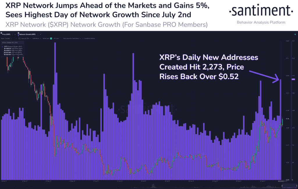 Ripple XRP Network Growth