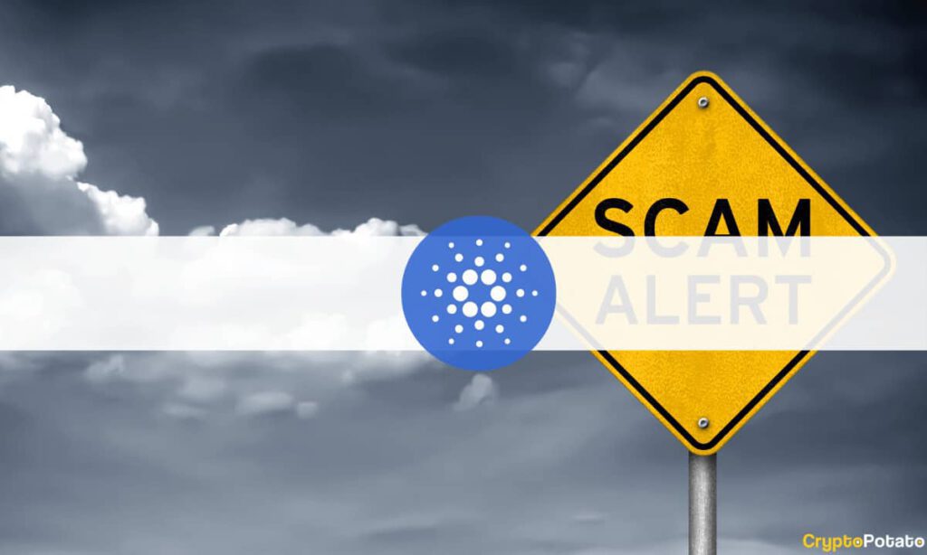 ScamCardano