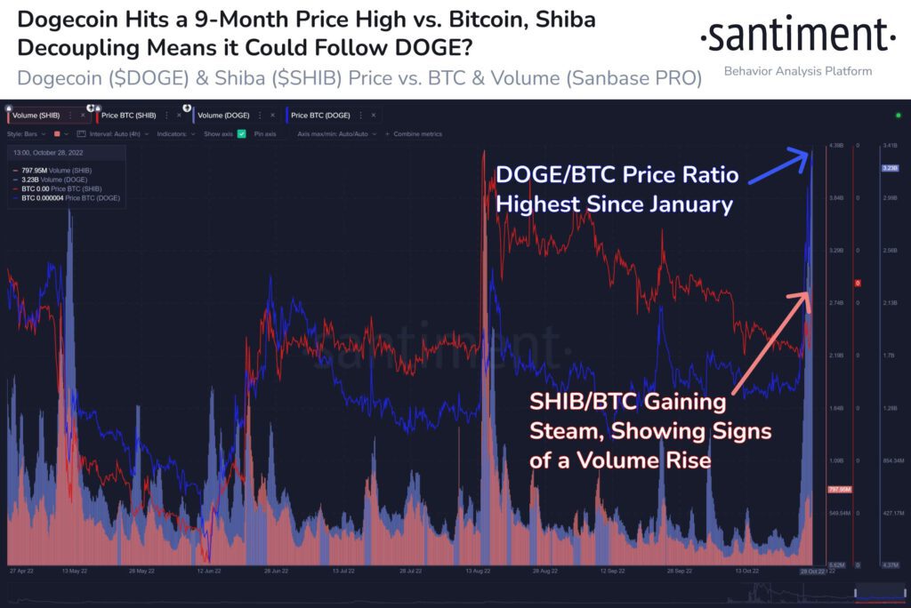 Shiba Inu SHIB Price Rally