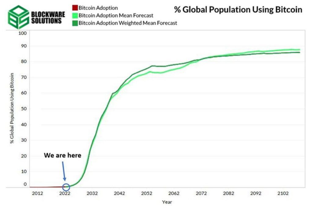 global population using bitcoin