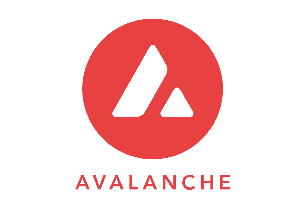 The Top 10 Layer 1 Blockchain Platforms 9 Avalanche- Top 10 Layer 1 Blockchain