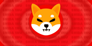 shiba 7513487 1280 1200x600 1