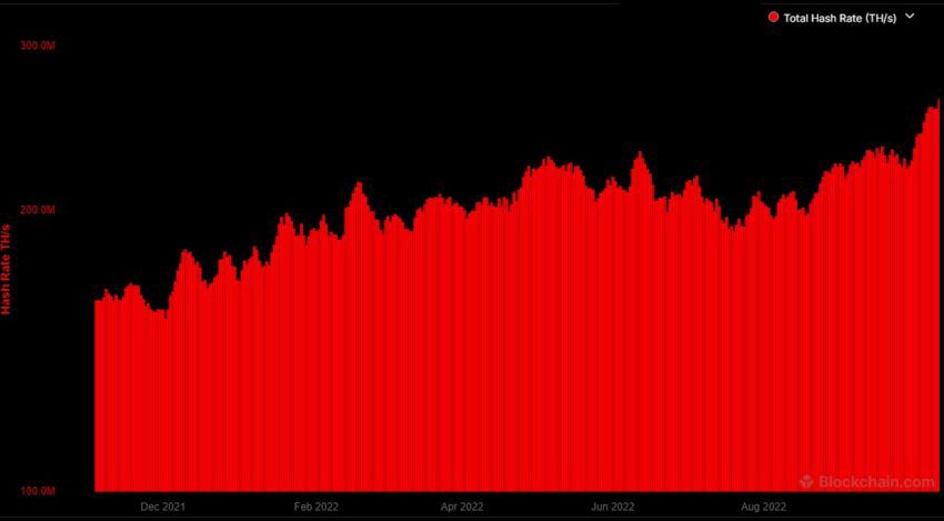 BTC hashrate