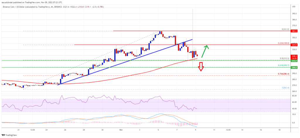 Binance Coin BNB 1