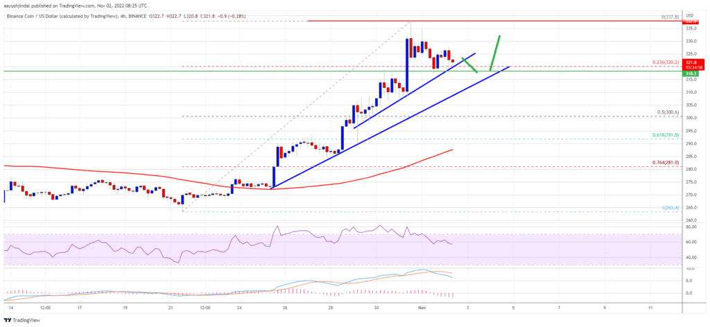 Binance Coin BNB