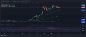 DOGEUSD 2022 11 03 13 25 17