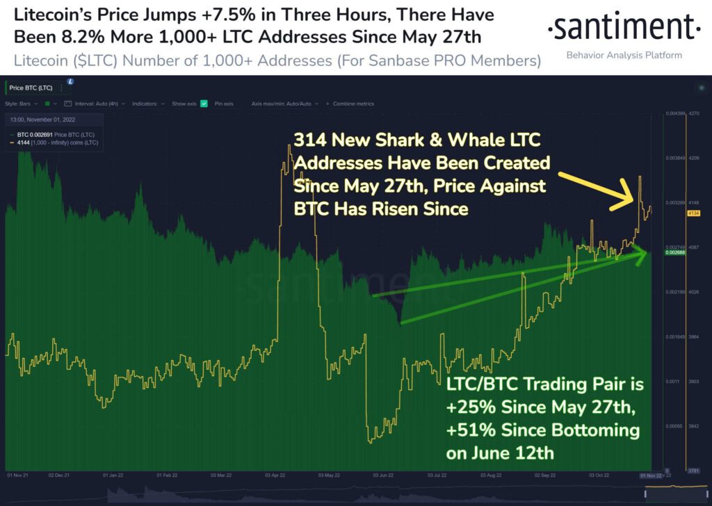 Litecoin LTC Whale