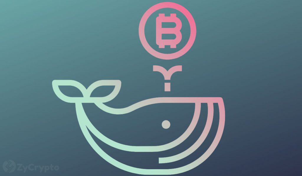 Mammoth BTC Whale The Chinese Government Holds More Bitcoin Than Michael Saylors MicroStrategy