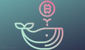 Mammoth BTC Whale The Chinese Government Holds More Bitcoin Than Michael Saylors MicroStrategy