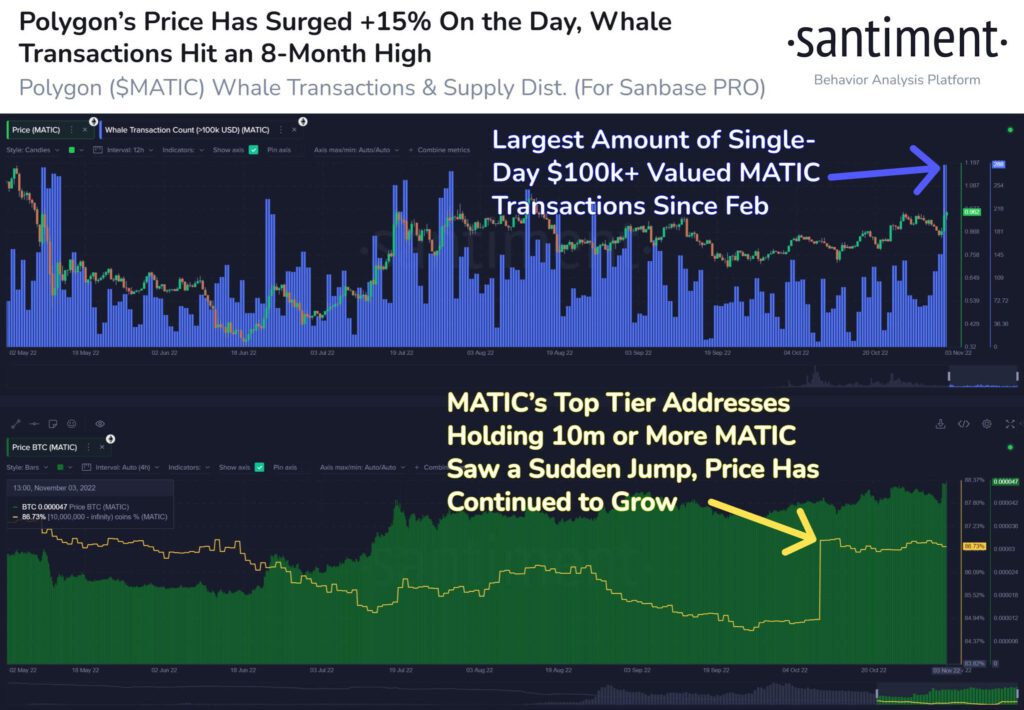 Polygon MATIC Whale Transactions