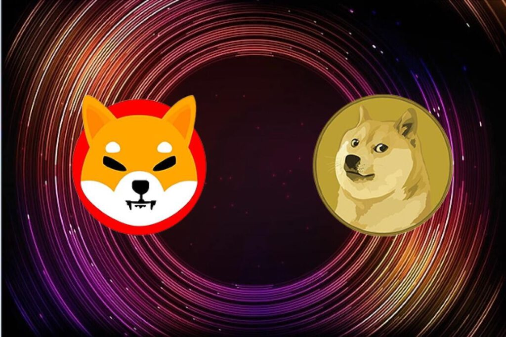 Shib vs doge