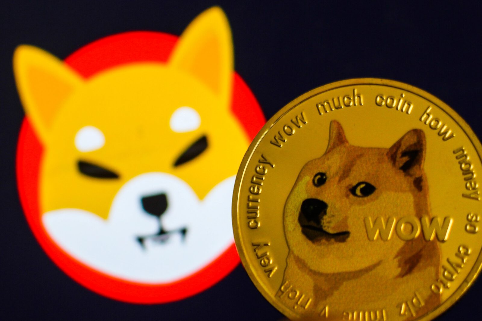 Veteran Trader Shares His Outlook on Dogecoin as it Racks Up 3 Wk2Uikoclddxqnnqykimzz5Ujwd10Mpdd0Rfvhlstzccdcpjmudyf Dg6Amgs3Zpapocu45F9R Nyl5Aq7Eb0Ji3Te5 D6Ask D7Jne4 Ilbucwg8Jnucr 3Fox2Jzxr0Lluoyrvee6L6Skeey Shuuoznucgua2Jze4Waadsanvmget X4 Yl Pgx Hjg