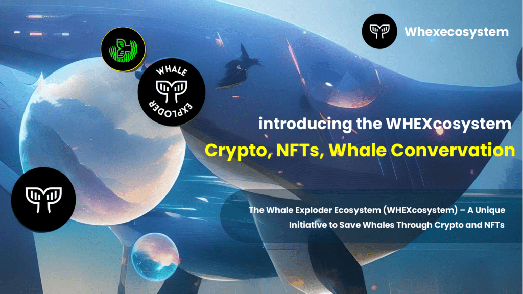 Introducing the WHEXcosystem: Combining Crypto, NFTs, and Whale Conservation