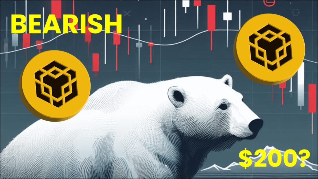 Bearish Momentum Threatens BNB Price: Will it Plummet Below $200? Find Out Why