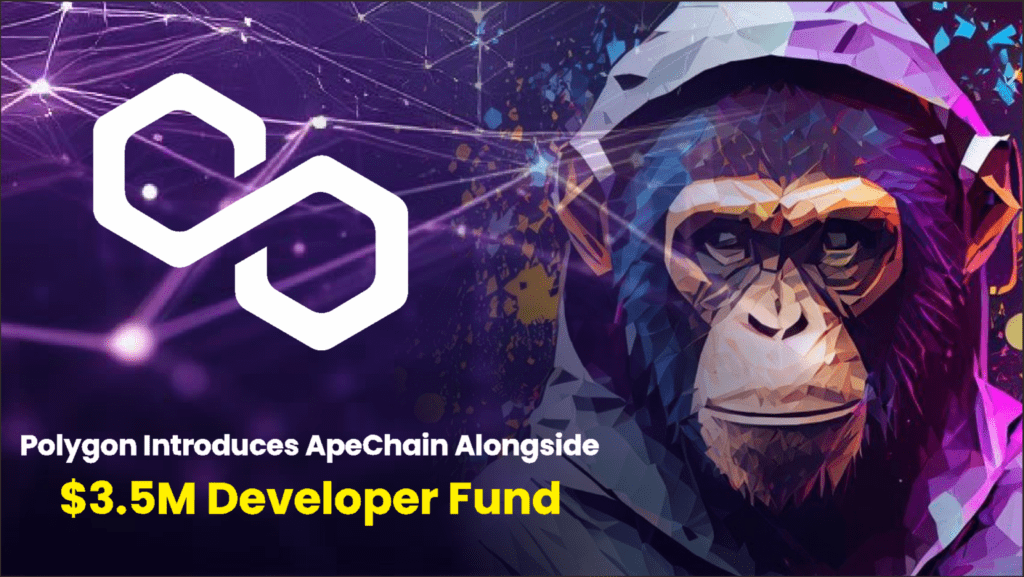 Polygon Introduces ApeChain Alongside $3.35 Million Developer Fund