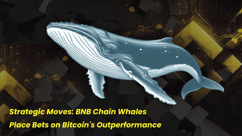 Strategic Moves: BNB Chain Whales Place Bets on Bitcoin’s Outperformance