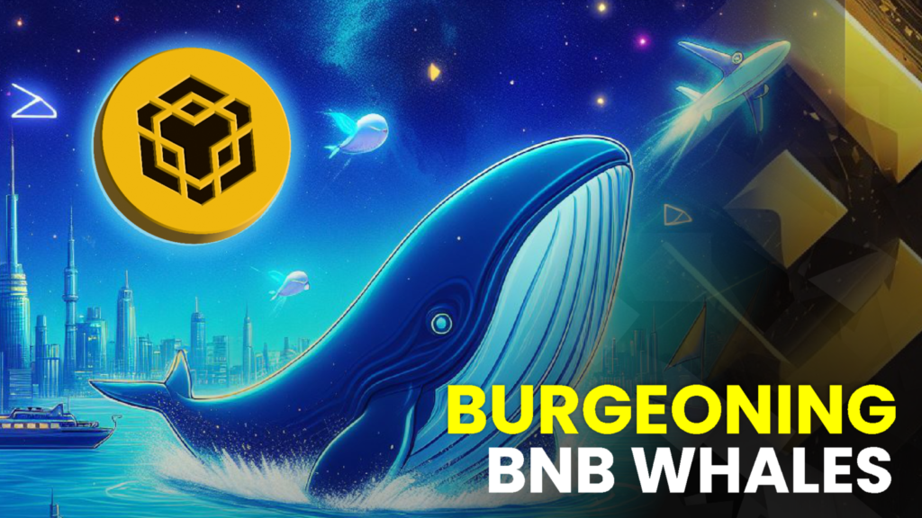 Burgeoning BNB Whales Prepare for Istanbul Binance Blockchain Week: Anticipation Grows Among Crypto Enthusiasts