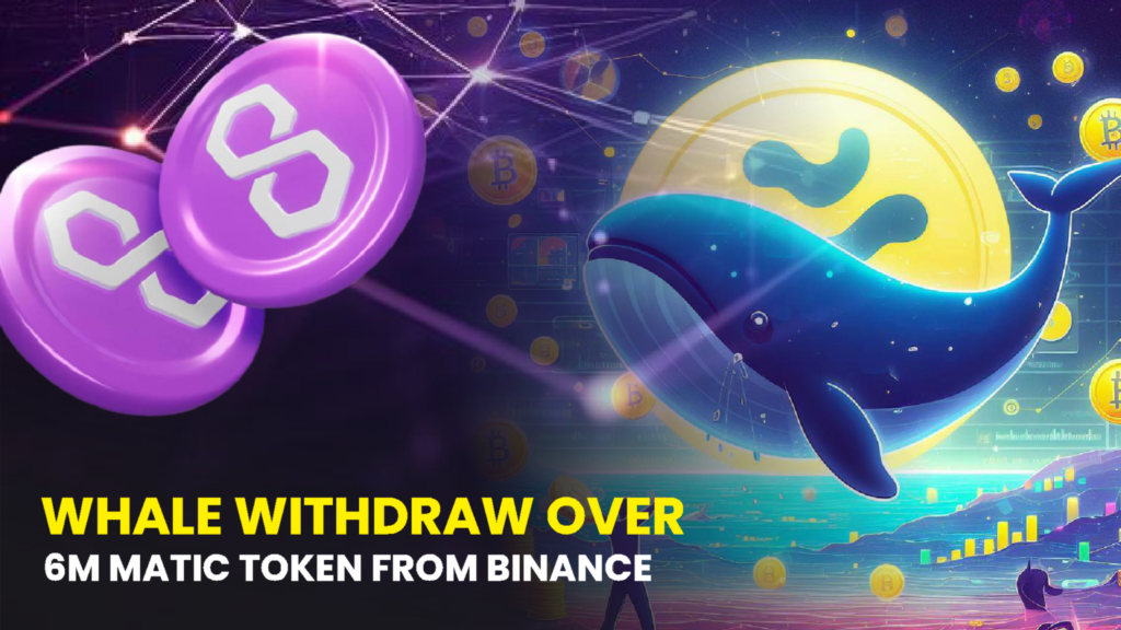 Whale Withdraws Over 6 Million MATIC Tokens from Binance: Insights from On-Chain Data